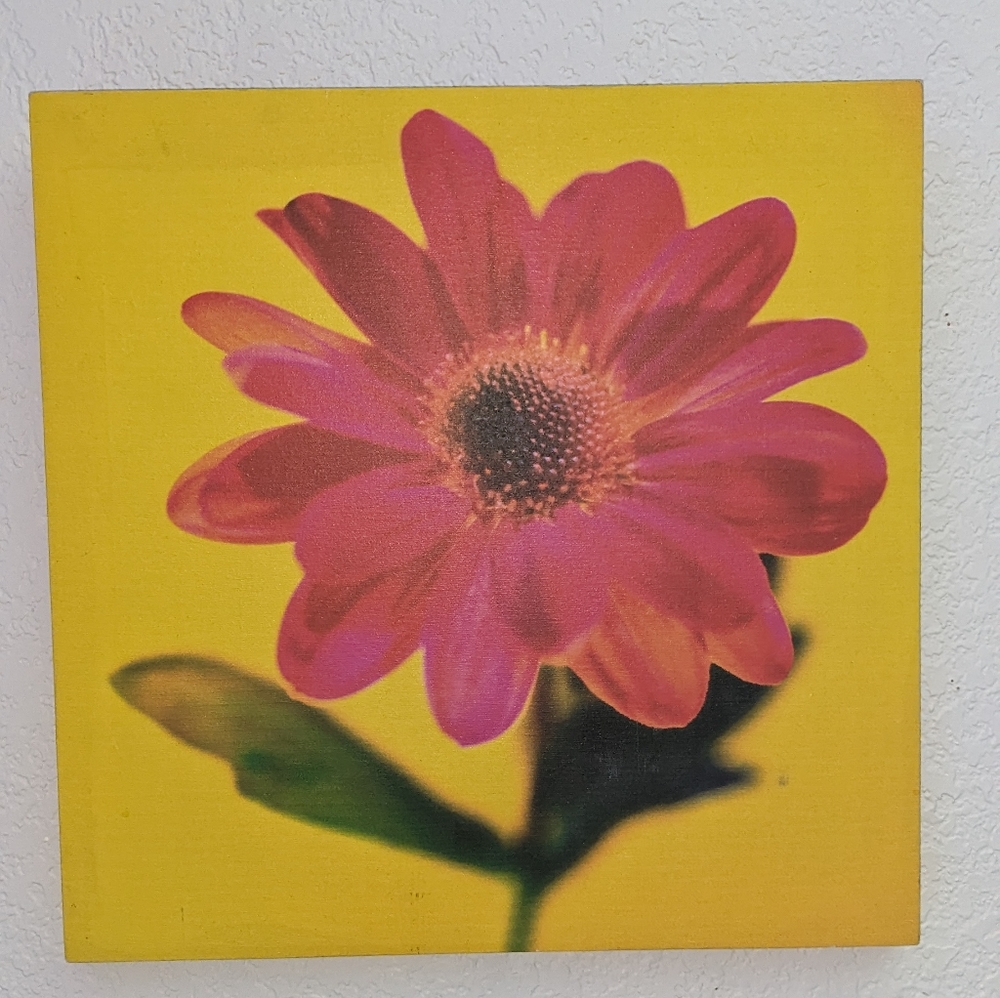 Flower Art Picture